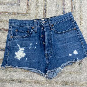 Re/Done Denim Cutoff Shorts
